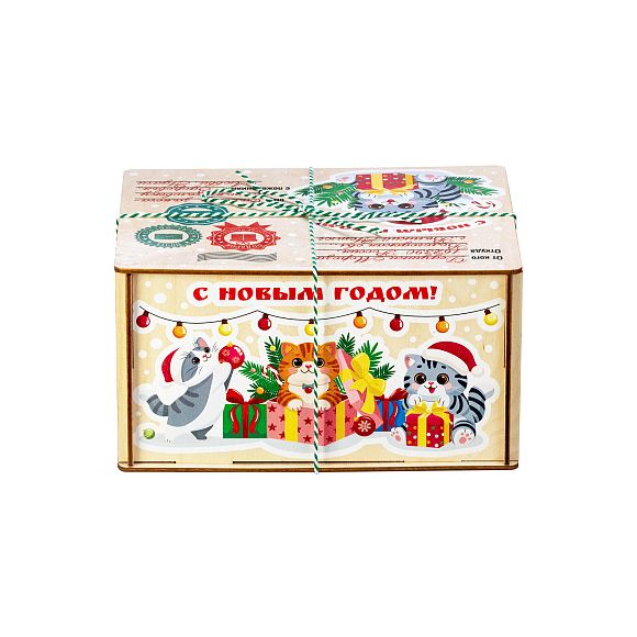 Сладкий новогодний подарок Котики (Полезный состав)