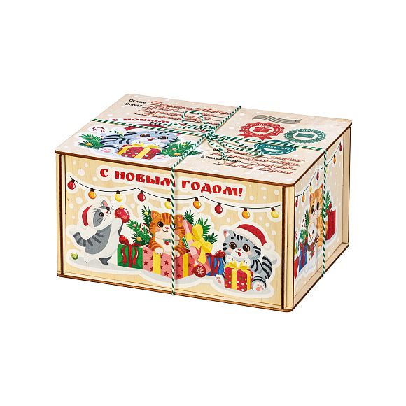 Сладкий новогодний подарок Котики (Полезный состав)