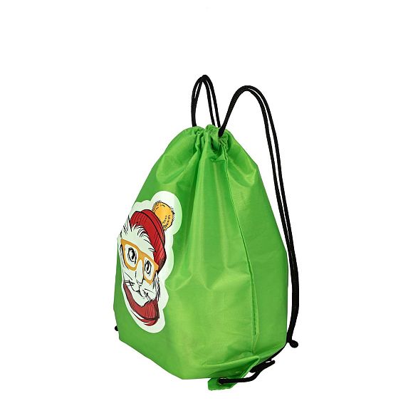 Сладкий новогодний подарок Мешок для обуви Кот